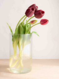 bellissimi tulipani real touch, estremamente realistici colore amaranto