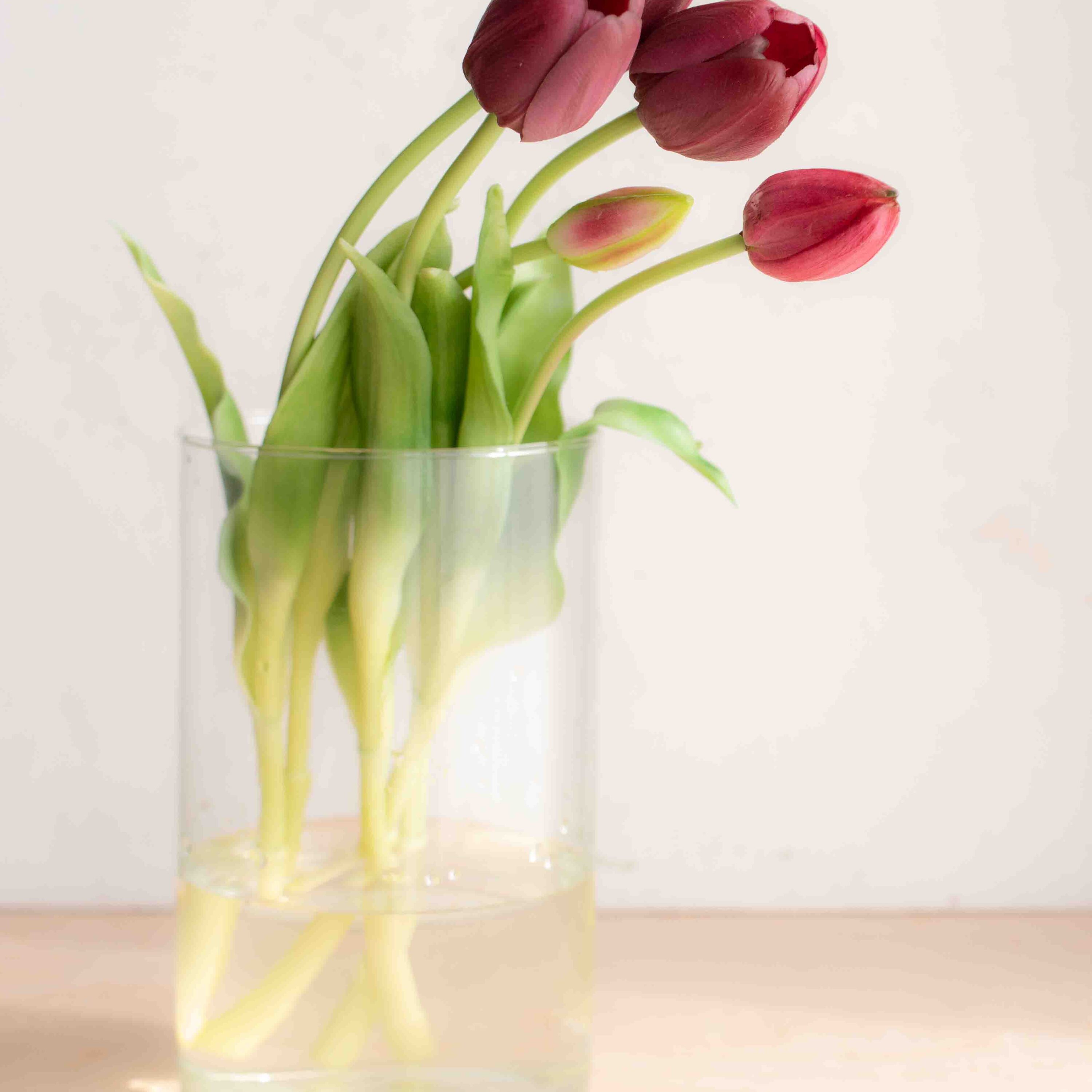bellissimi tulipani real touch, estremamente realistici colore amaranto