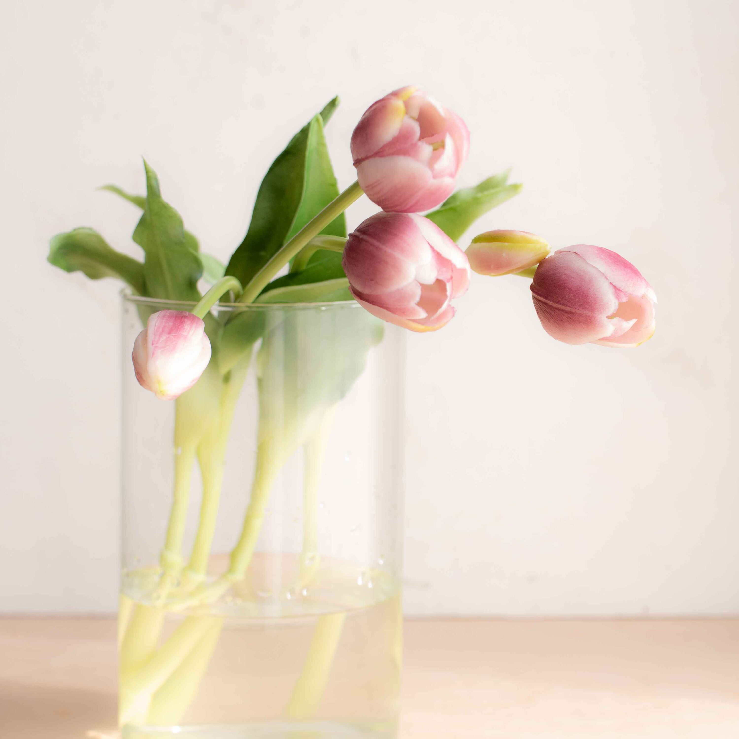 bellissimi tulipani real touch, estremamente realistici colore violetto