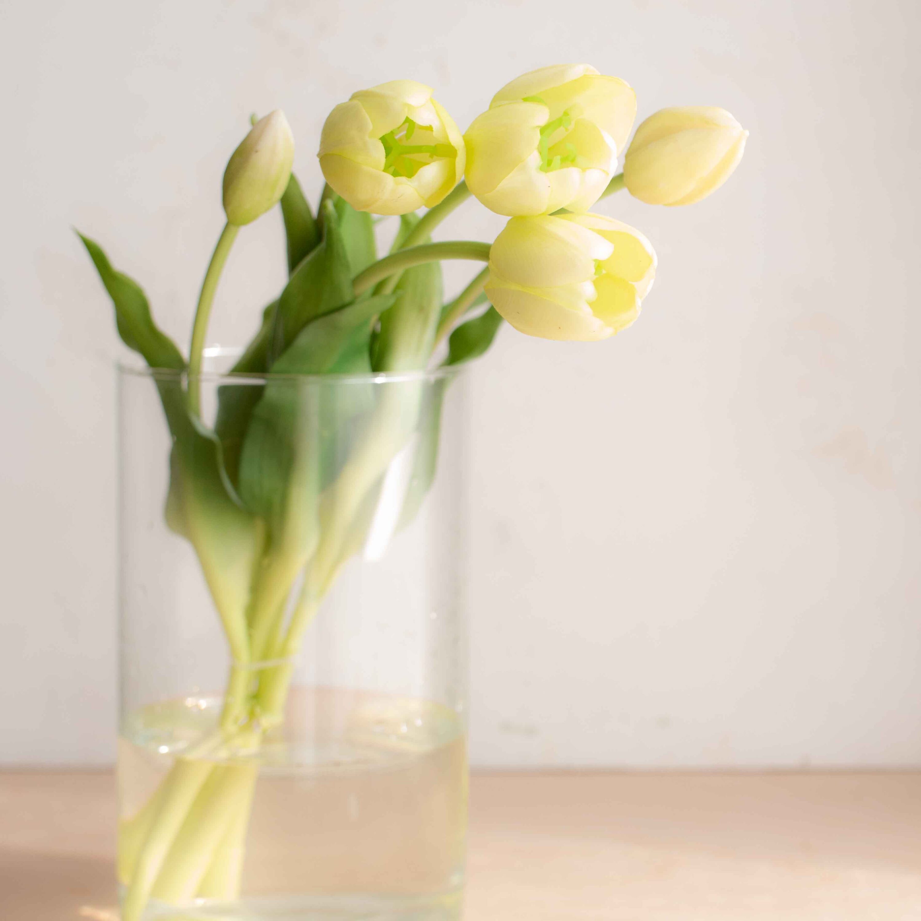 bellissimi tulipani real touch, estremamente realistici colore bianco caldo