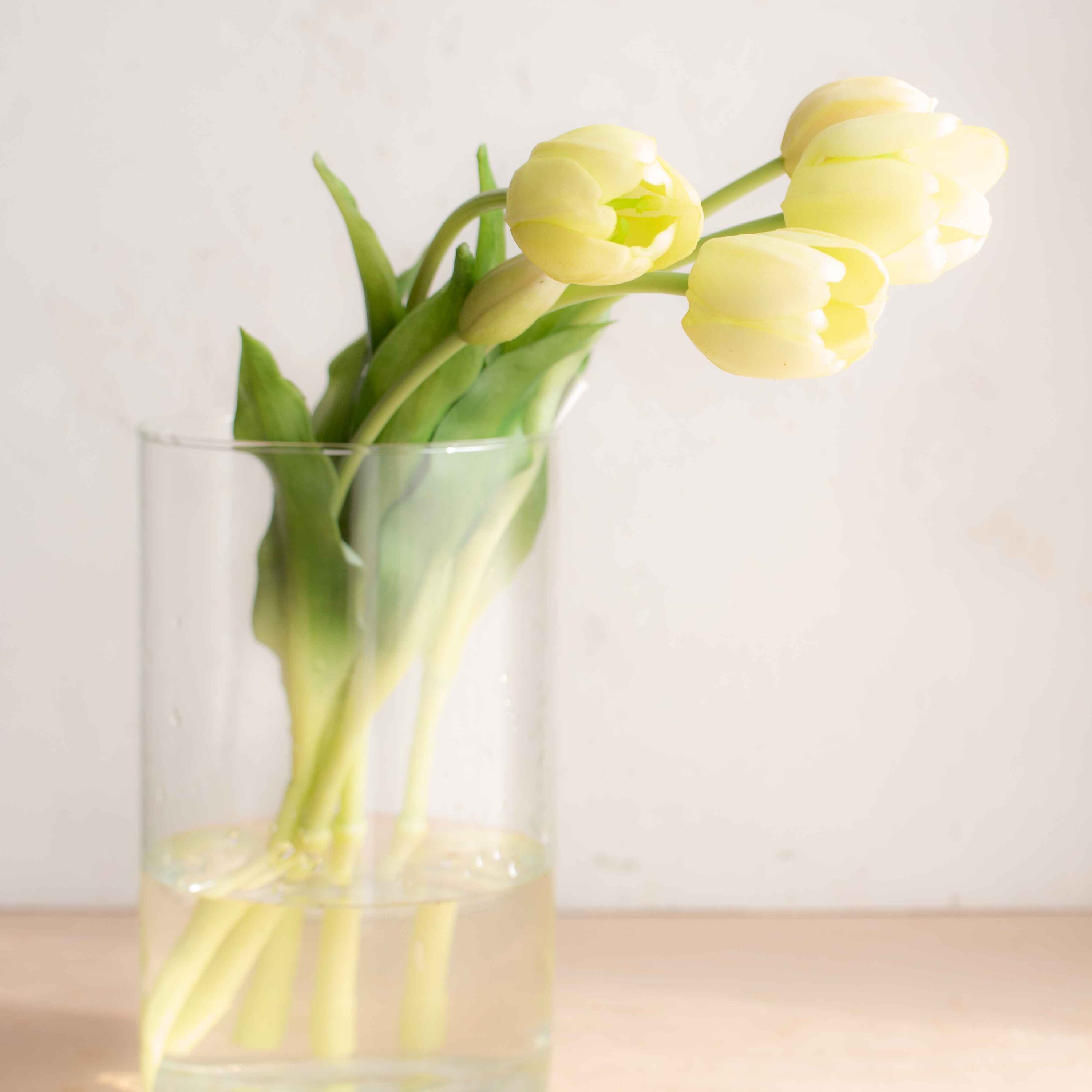 bellissimi tulipani real touch, estremamente realistici colore bianco caldo