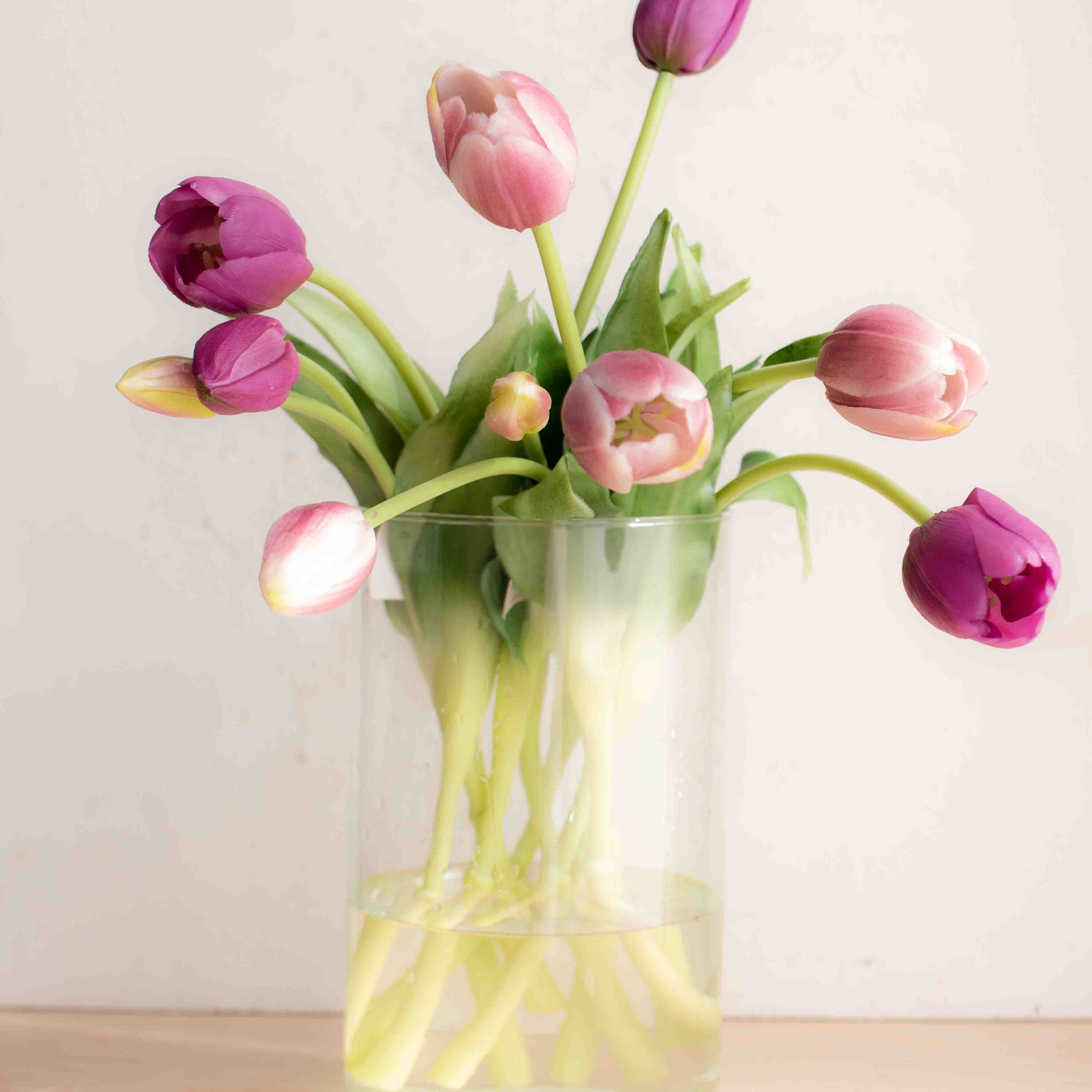 bellissimi tulipani real touch, estremamente realistici colore lilla e violetto