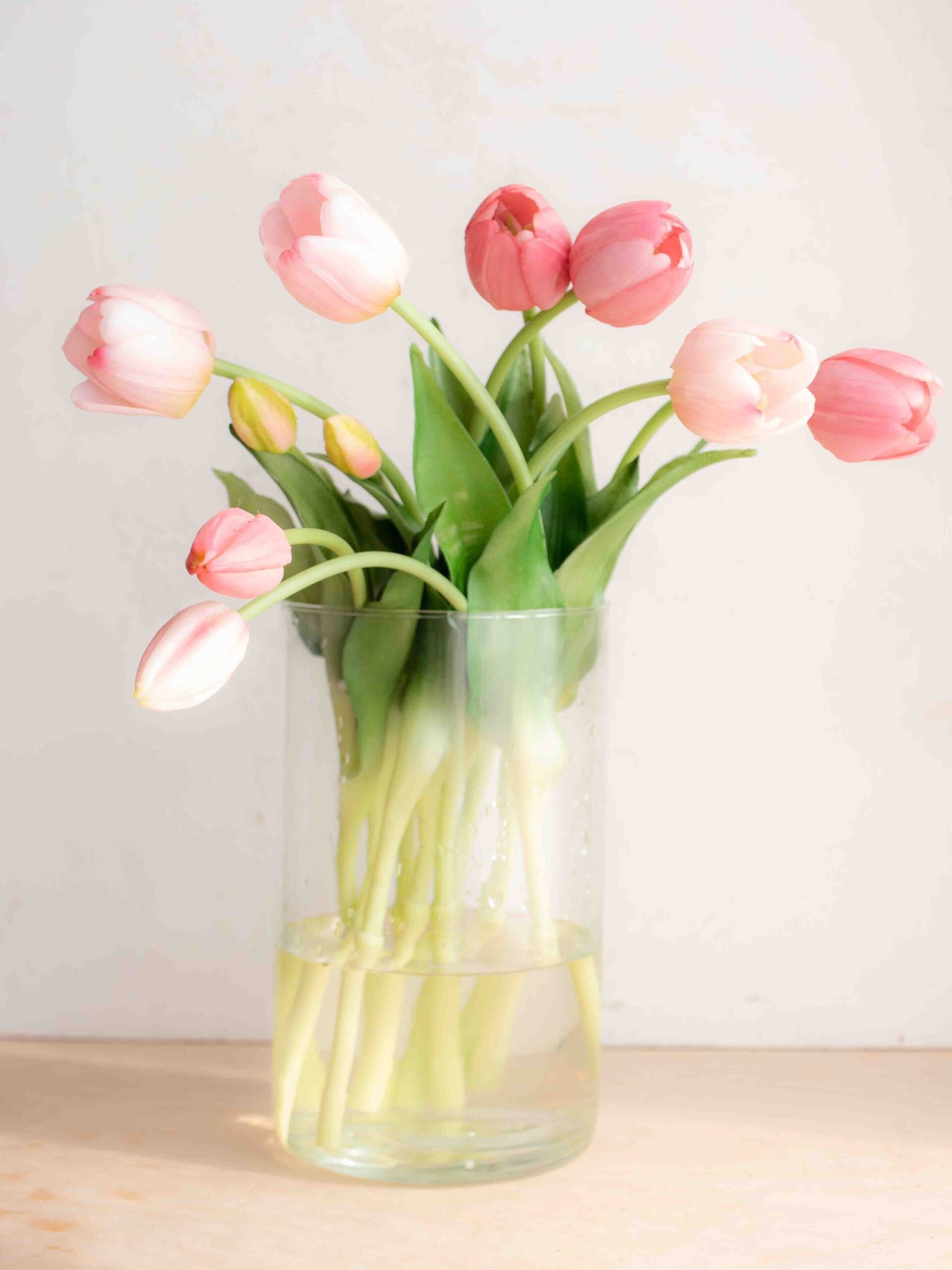 Bouquet tulipani real touch doppio colore misto rosa - All White