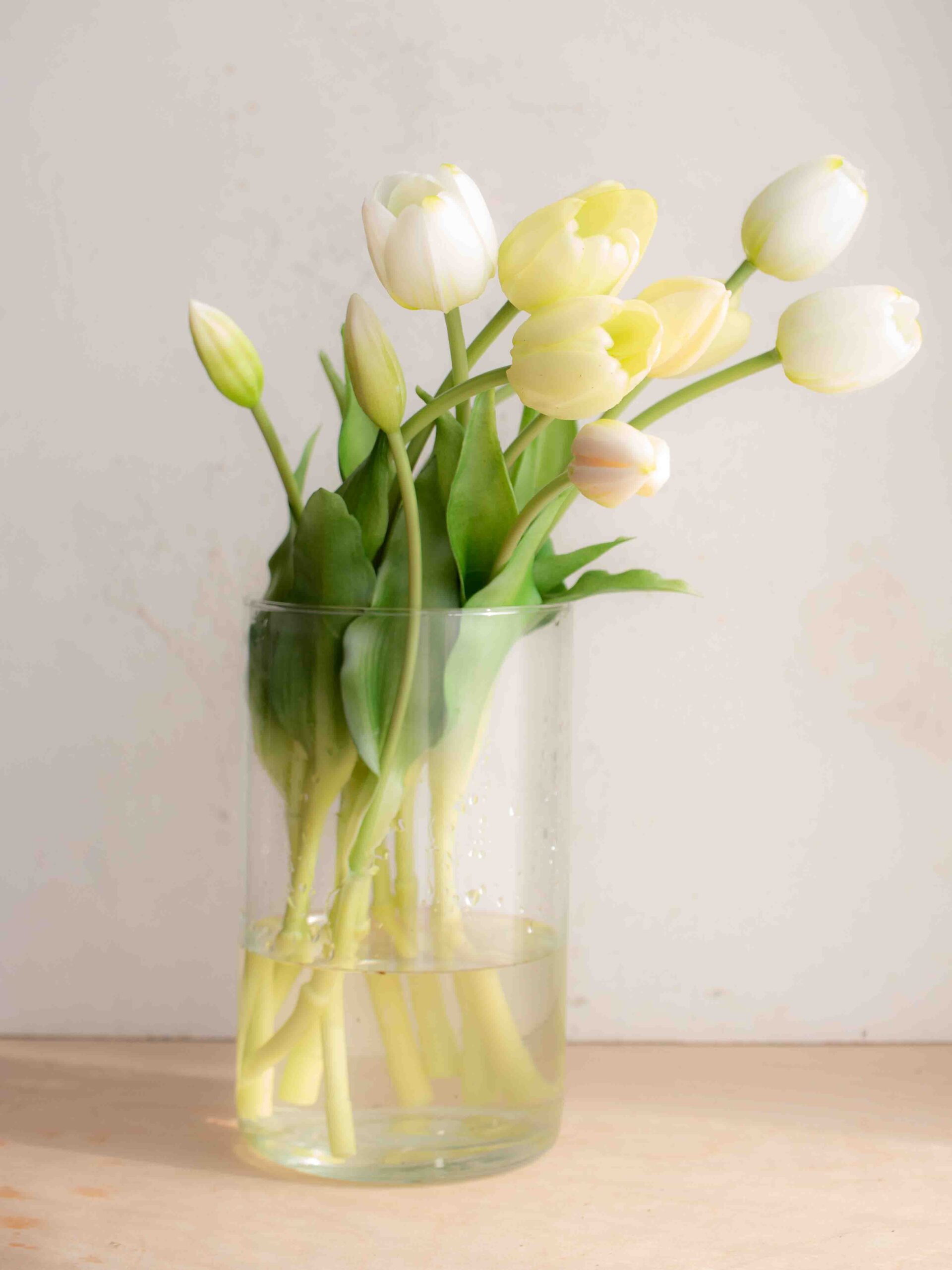 Tulipani artificiali, in un vaso di fiori