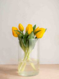bellissimi tulipani real touch, estremamente realistici colore giallo