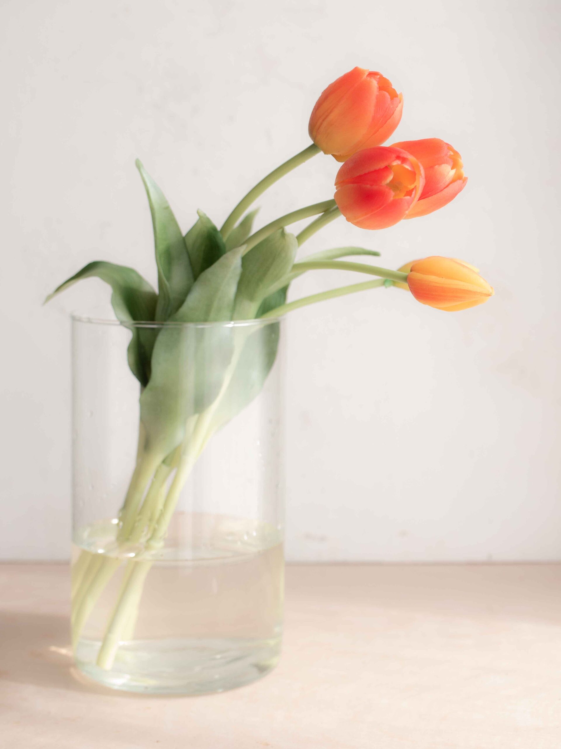 Bouquet tulipani real touch arancioni - All White