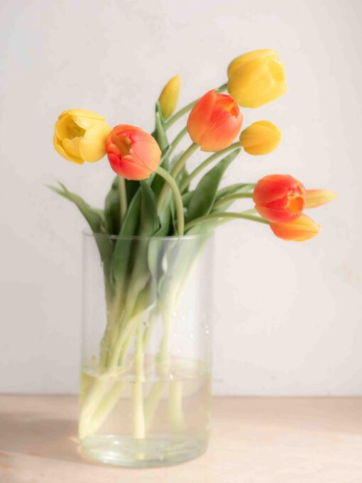 bellissimi tulipani real touch, estremamente realistici colore giallo e arancio