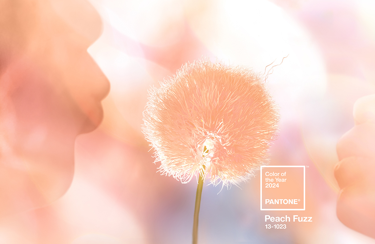 peach fuzz, il colore dell'anno 2024