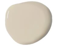 Nuova Wall Paint Annie Sloan Canvas
