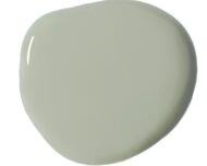 Nuova Wall Paint Annie Sloan Terre Verte