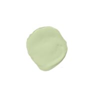 Painting the Past Apple Green
