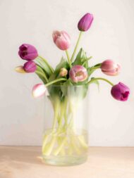 Bouquet tulipani real touch doppio colore misto Violet
