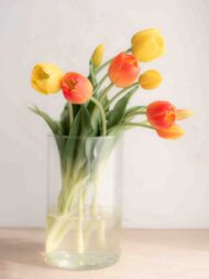 Bouquet tulipani real touch doppio colore misto gialli