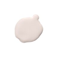 Painting the Past Plaster