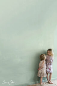Wall Paint Annie Sloan Duck Egg Blue