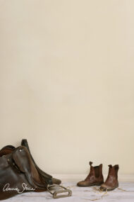 Wall Paint Annie Sloan Original White