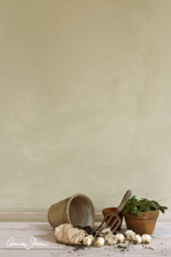 Wall Paint Annie Sloan Versailles